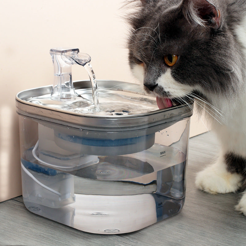 304 Stainless Steel Pet Water Fountain – 2L Auto Pump (view 9)