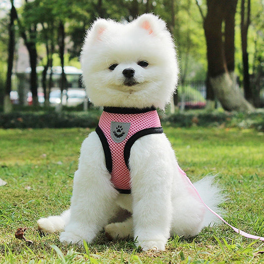 Breathable Mesh Pet Car Seat Belt & Leash